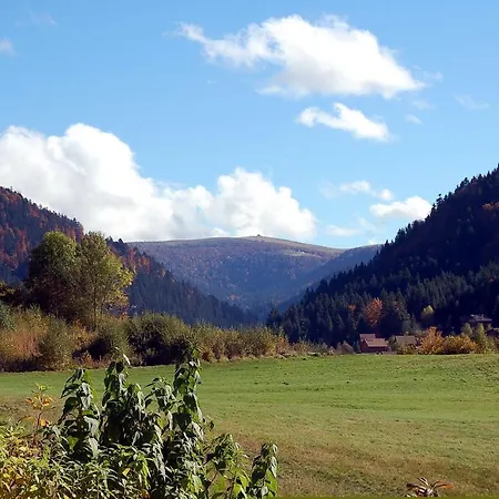Chalet Les Joyeux Randonneurs