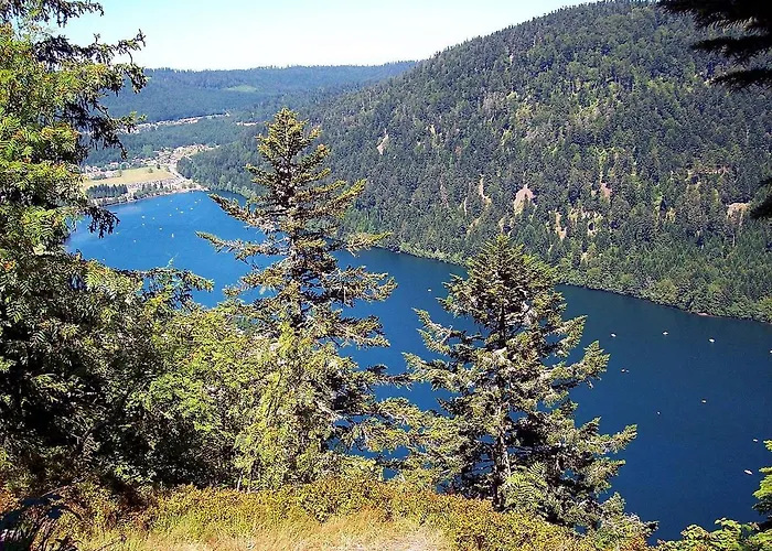 Chalet Les Joyeux Randonneurs Xonrupt-Longemer